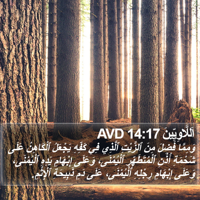 اَللَّاوِيِّينَ 14:17 AVD Bible Study