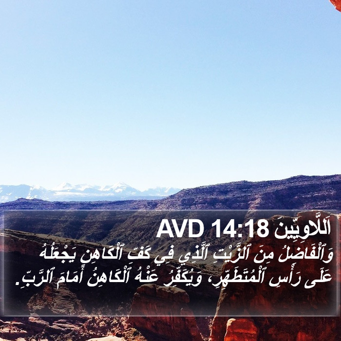 اَللَّاوِيِّينَ 14:18 AVD Bible Study