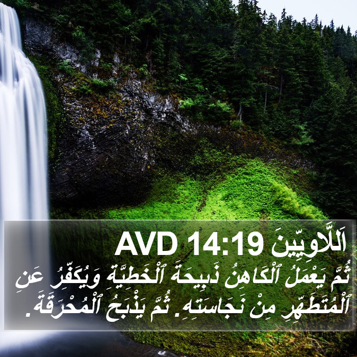 اَللَّاوِيِّينَ 14:19 AVD Bible Study