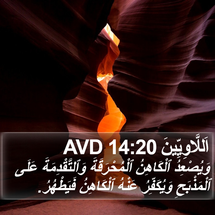 اَللَّاوِيِّينَ 14:20 AVD Bible Study