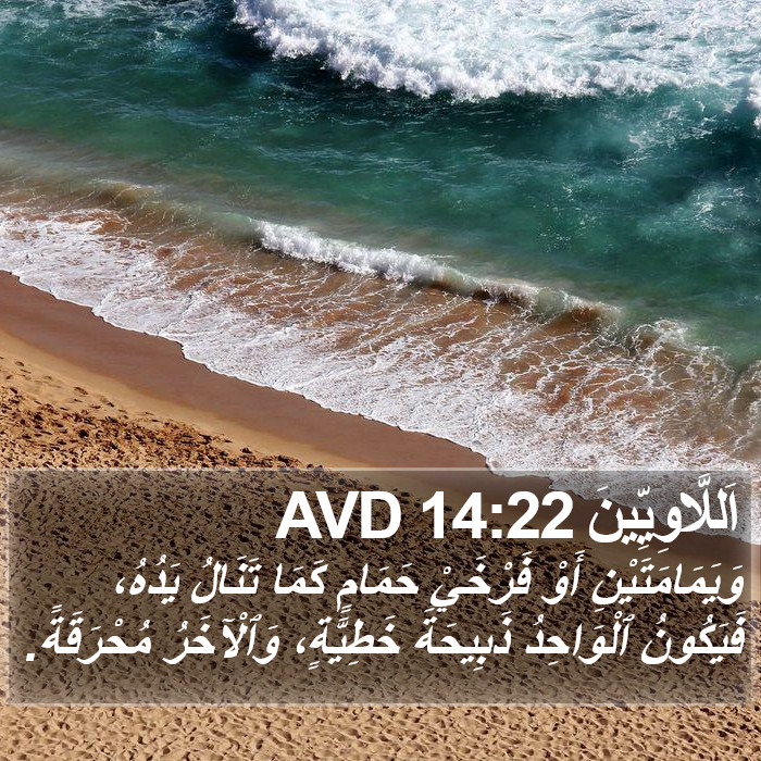اَللَّاوِيِّينَ 14:22 AVD Bible Study