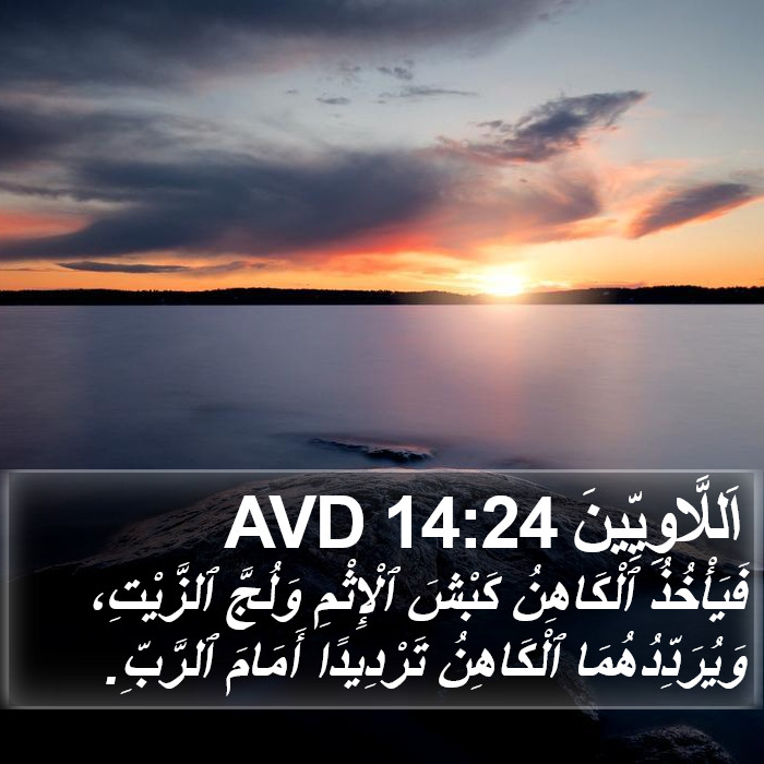 اَللَّاوِيِّينَ 14:24 AVD Bible Study
