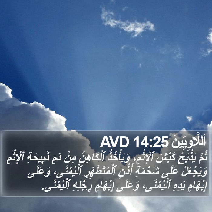 اَللَّاوِيِّينَ 14:25 AVD Bible Study