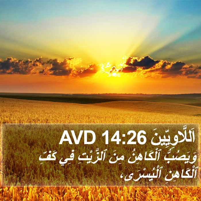 اَللَّاوِيِّينَ 14:26 AVD Bible Study