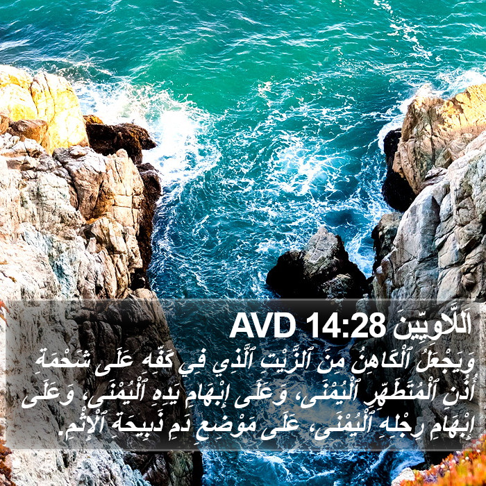 اَللَّاوِيِّينَ 14:28 AVD Bible Study