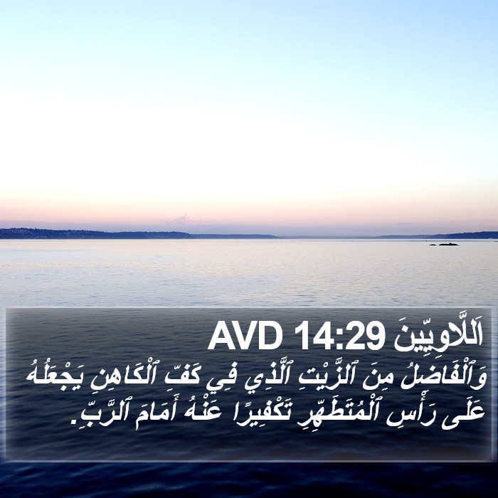 اَللَّاوِيِّينَ 14:29 AVD Bible Study