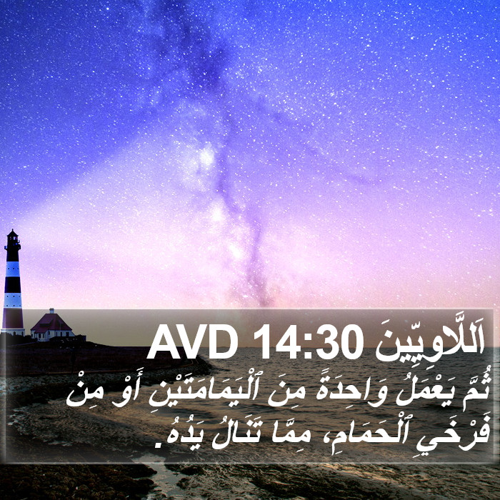 اَللَّاوِيِّينَ 14:30 AVD Bible Study