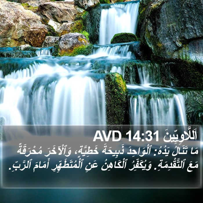 اَللَّاوِيِّينَ 14:31 AVD Bible Study