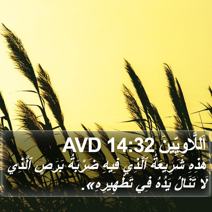 اَللَّاوِيِّينَ 14:32 AVD Bible Study
