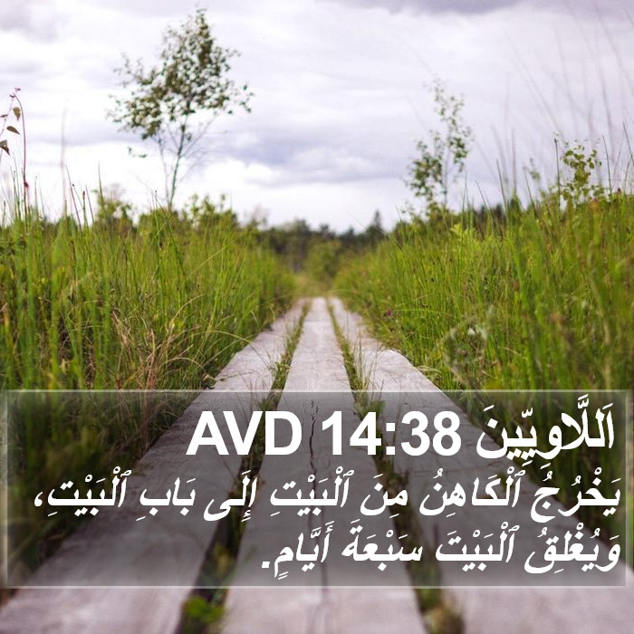 اَللَّاوِيِّينَ 14:38 AVD Bible Study