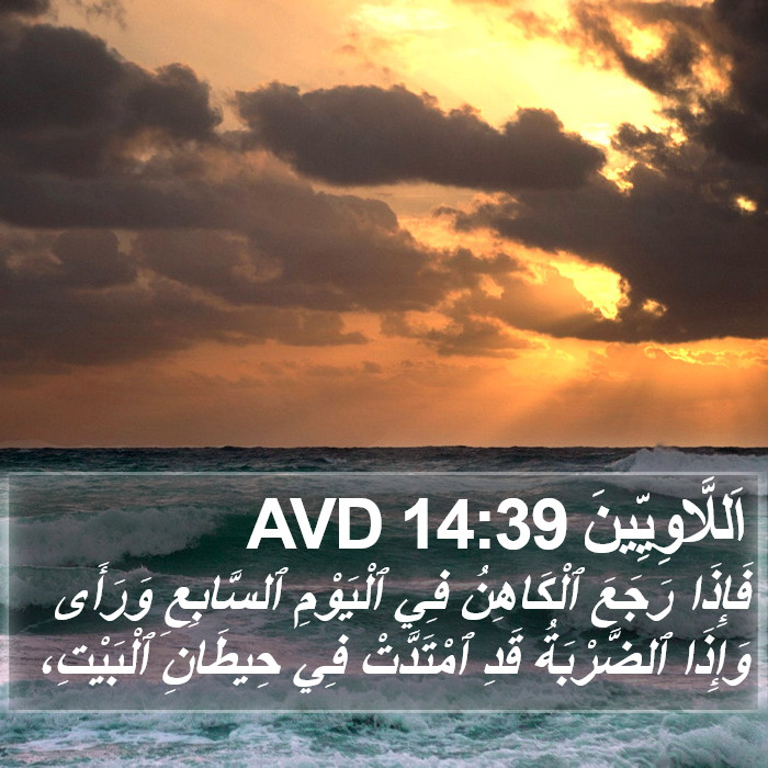 اَللَّاوِيِّينَ 14:39 AVD Bible Study
