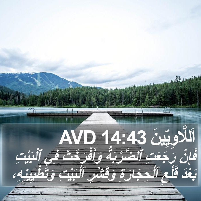 اَللَّاوِيِّينَ 14:43 AVD Bible Study