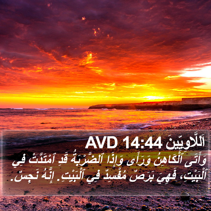 اَللَّاوِيِّينَ 14:44 AVD Bible Study