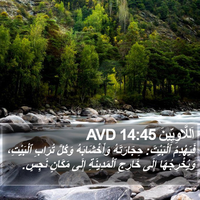 اَللَّاوِيِّينَ 14:45 AVD Bible Study