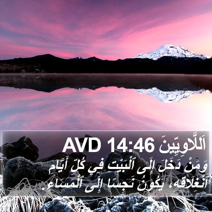 اَللَّاوِيِّينَ 14:46 AVD Bible Study