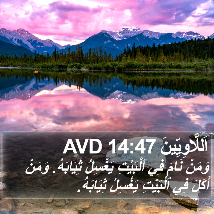 اَللَّاوِيِّينَ 14:47 AVD Bible Study