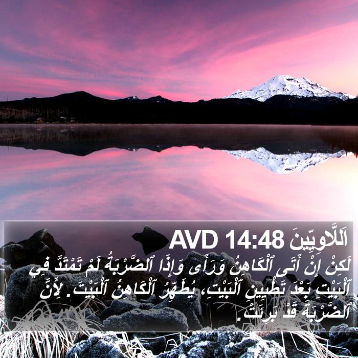 اَللَّاوِيِّينَ 14:48 AVD Bible Study