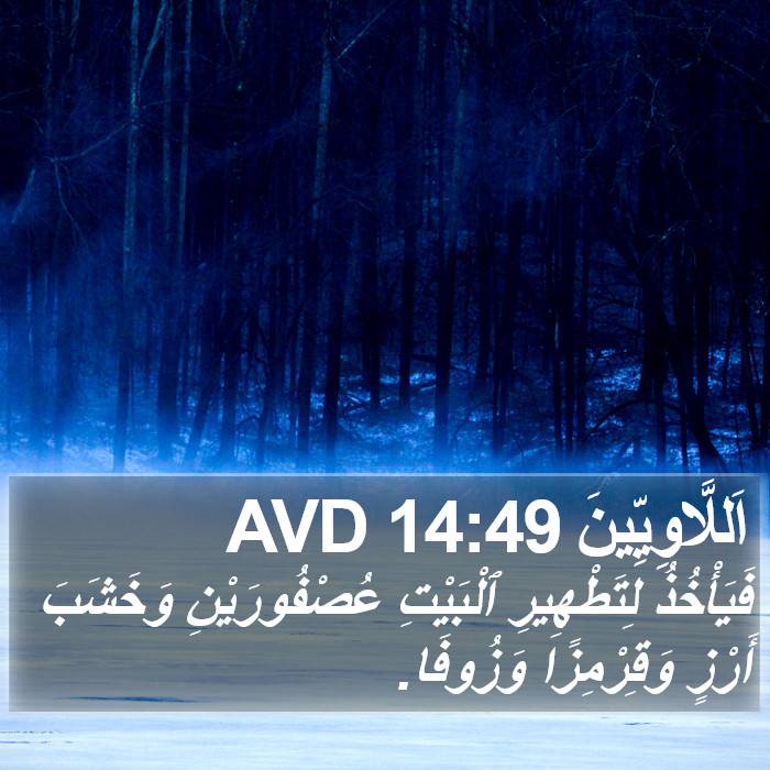 اَللَّاوِيِّينَ 14:49 AVD Bible Study