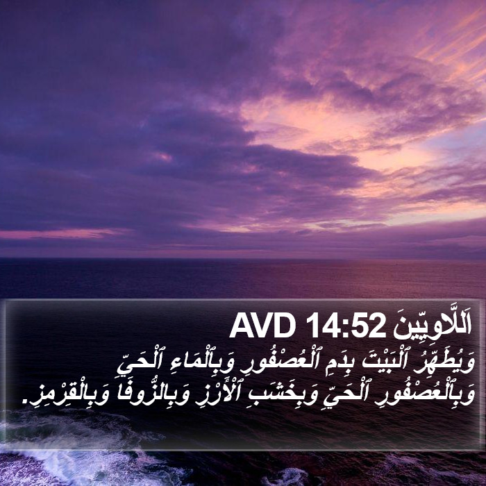اَللَّاوِيِّينَ 14:52 AVD Bible Study