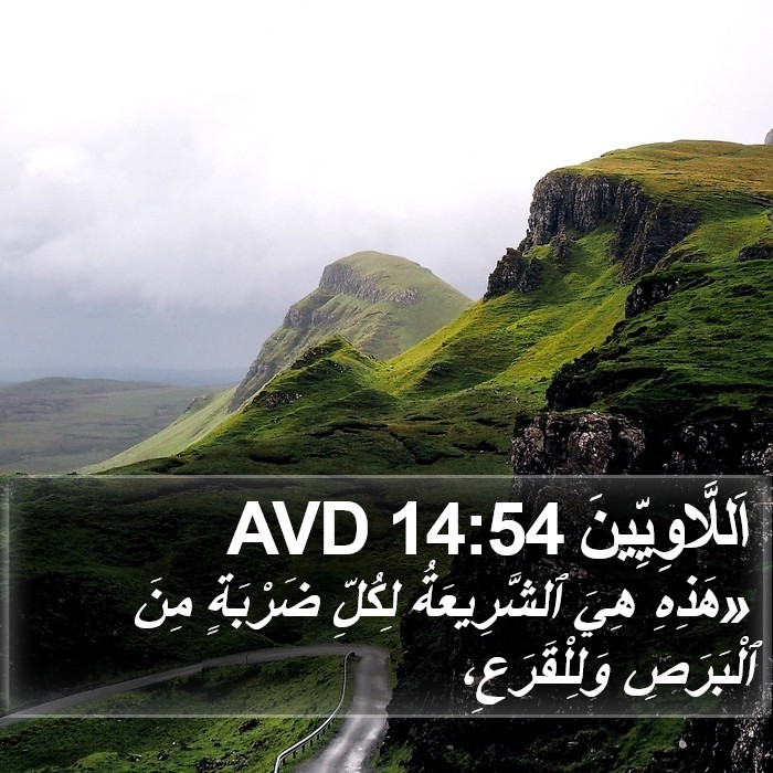 اَللَّاوِيِّينَ 14:54 AVD Bible Study