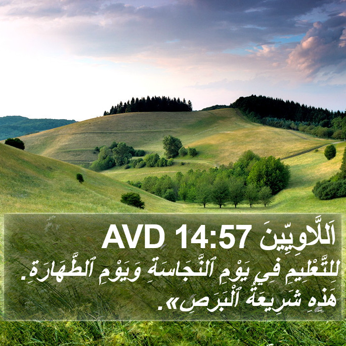 اَللَّاوِيِّينَ 14:57 AVD Bible Study