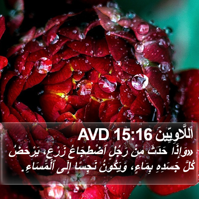 اَللَّاوِيِّينَ 15:16 AVD Bible Study