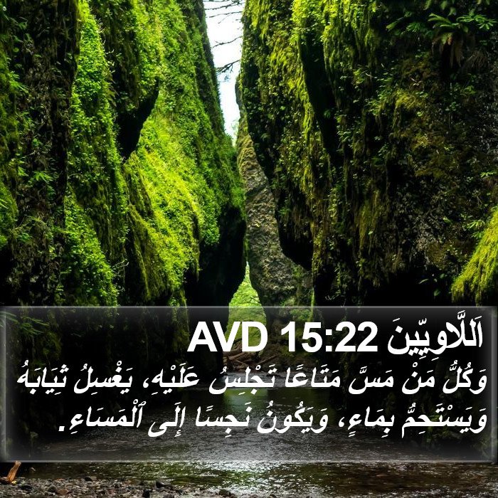 اَللَّاوِيِّينَ 15:22 AVD Bible Study