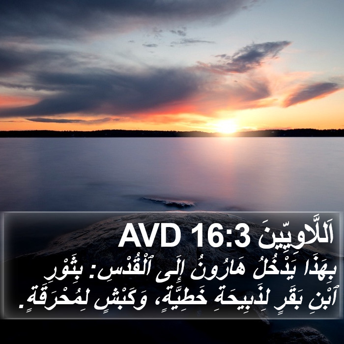 اَللَّاوِيِّينَ 16:3 AVD Bible Study