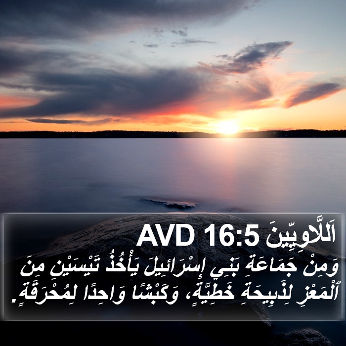 اَللَّاوِيِّينَ 16:5 AVD Bible Study