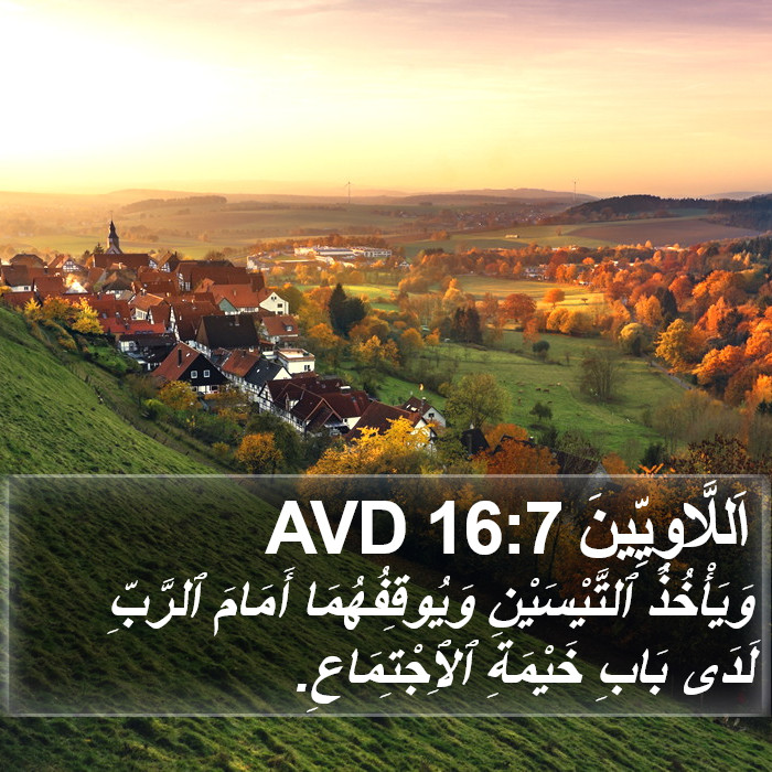 اَللَّاوِيِّينَ 16:7 AVD Bible Study