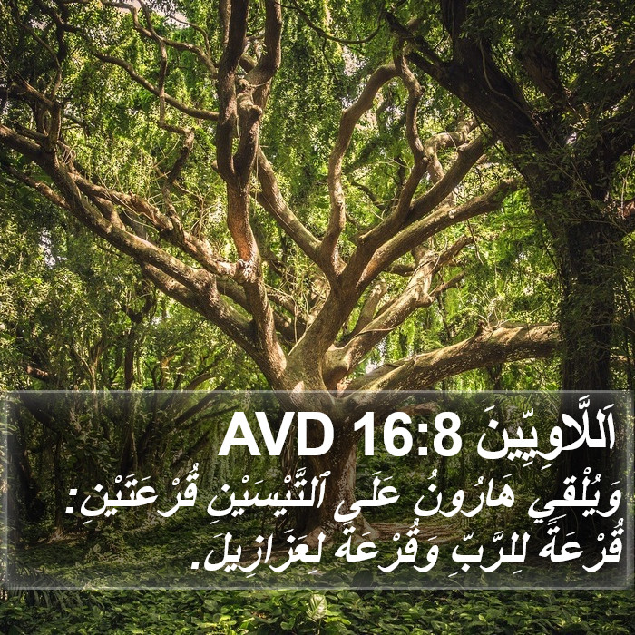 اَللَّاوِيِّينَ 16:8 AVD Bible Study