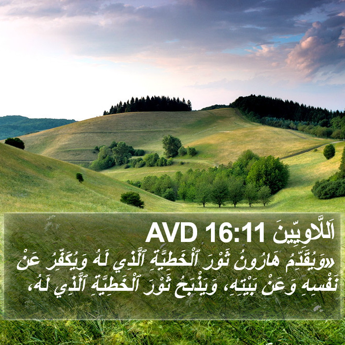 اَللَّاوِيِّينَ 16:11 AVD Bible Study