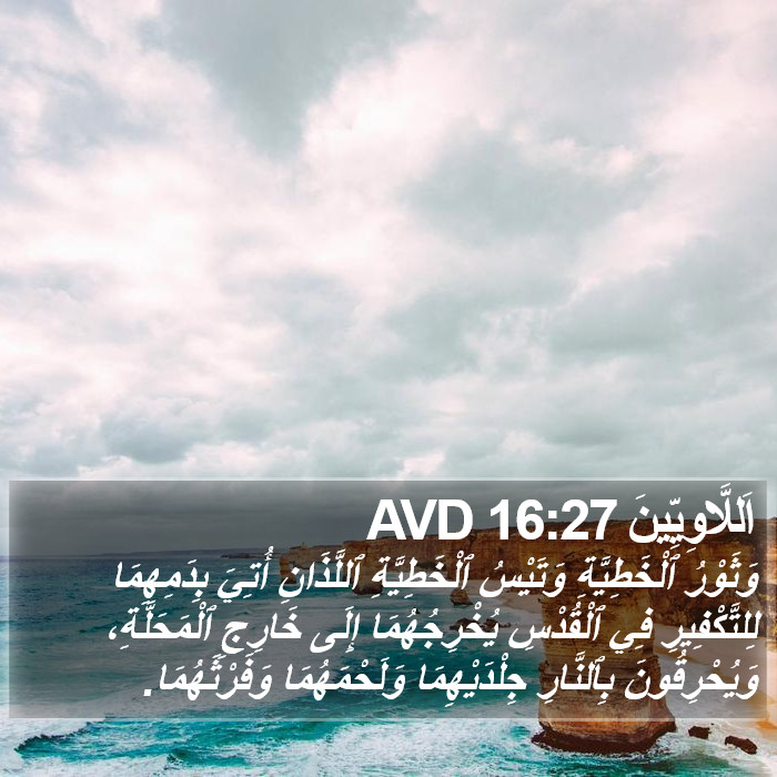اَللَّاوِيِّينَ 16:27 AVD Bible Study