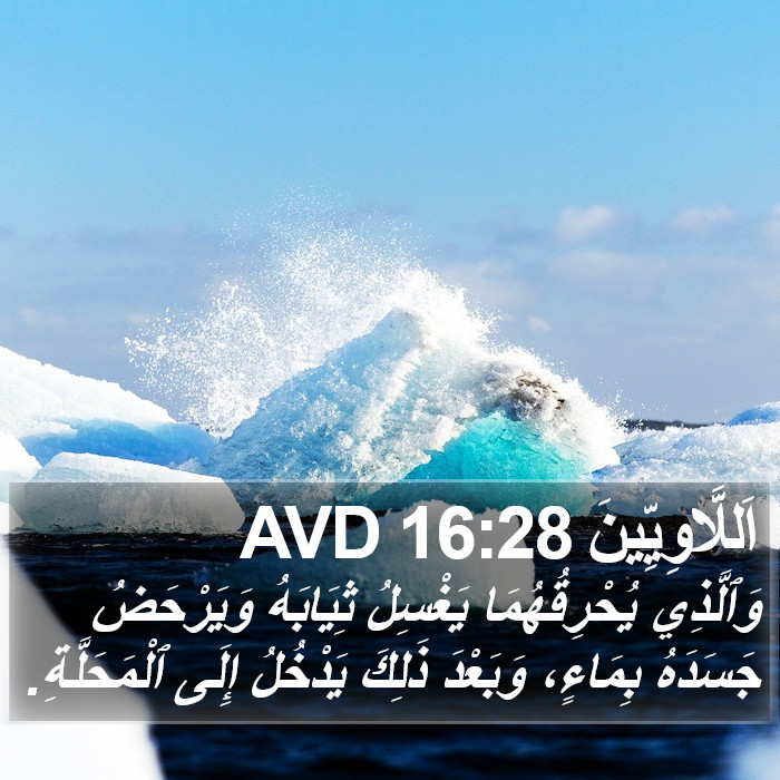 اَللَّاوِيِّينَ 16:28 AVD Bible Study