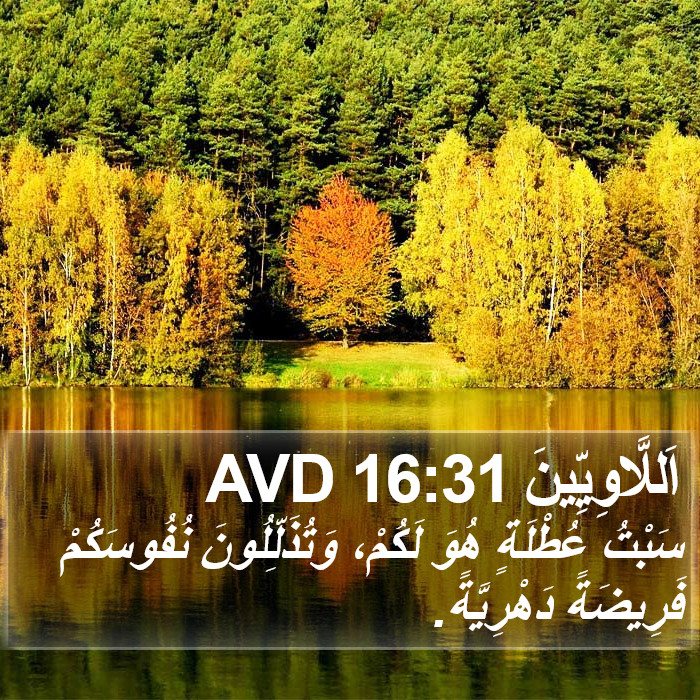 اَللَّاوِيِّينَ 16:31 AVD Bible Study