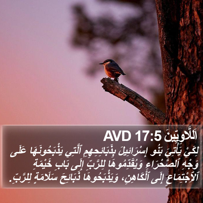 اَللَّاوِيِّينَ 17:5 AVD Bible Study