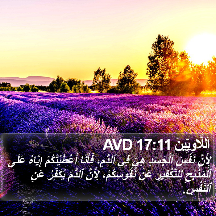 اَللَّاوِيِّينَ 17:11 AVD Bible Study