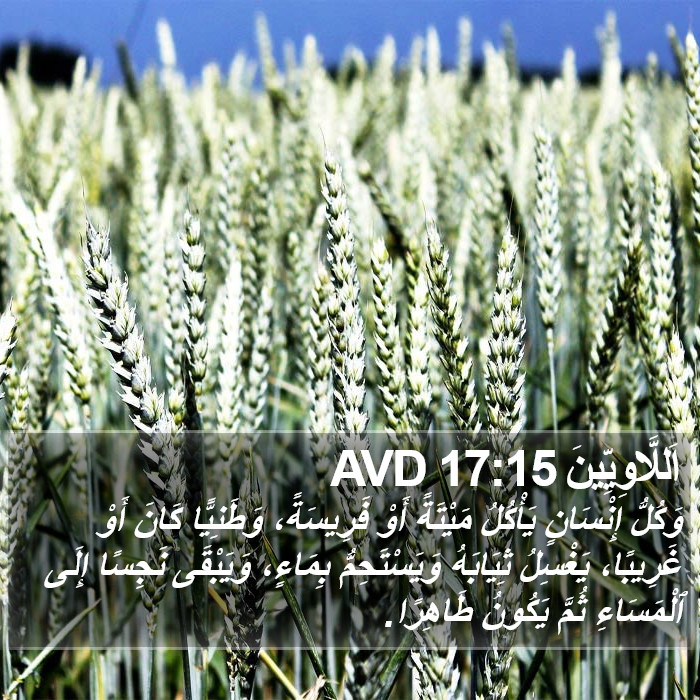 اَللَّاوِيِّينَ 17:15 AVD Bible Study