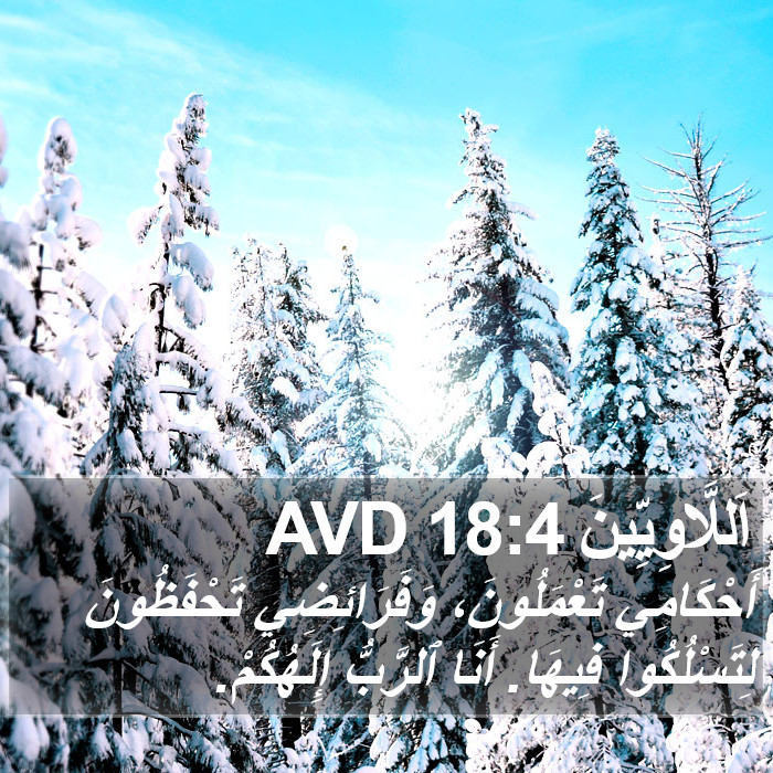 اَللَّاوِيِّينَ 18:4 AVD Bible Study