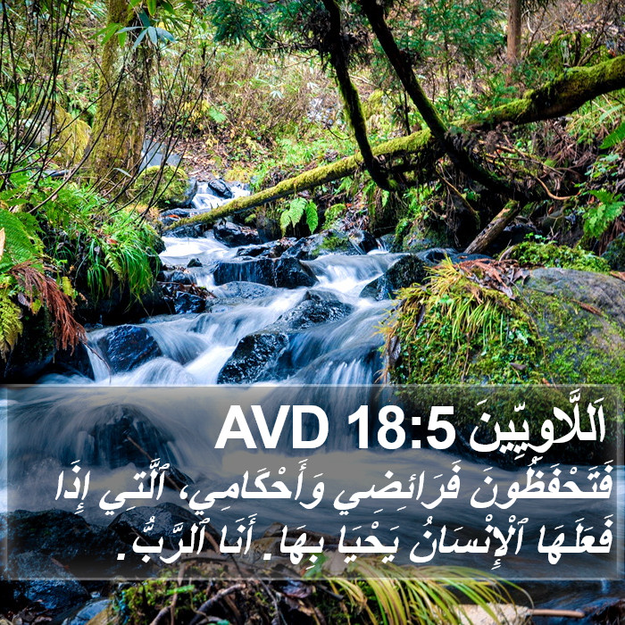 اَللَّاوِيِّينَ 18:5 AVD Bible Study