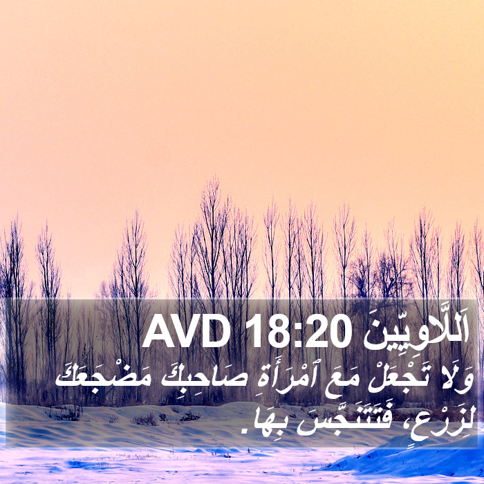 اَللَّاوِيِّينَ 18:20 AVD Bible Study