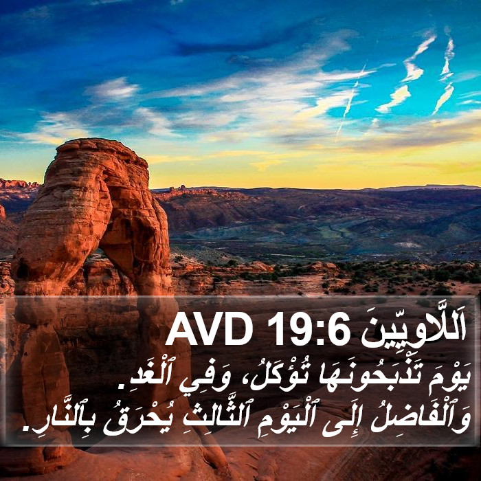 اَللَّاوِيِّينَ 19:6 AVD Bible Study