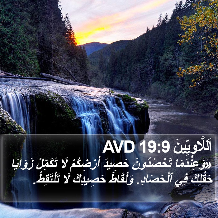 اَللَّاوِيِّينَ 19:9 AVD Bible Study