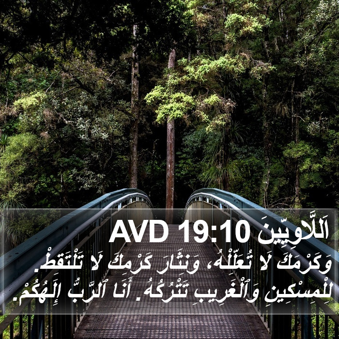 اَللَّاوِيِّينَ 19:10 AVD Bible Study