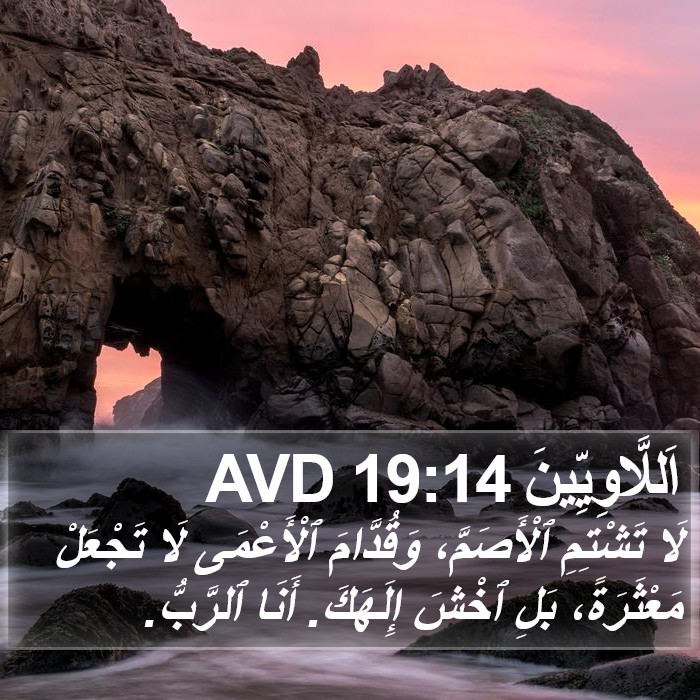 اَللَّاوِيِّينَ 19:14 AVD Bible Study