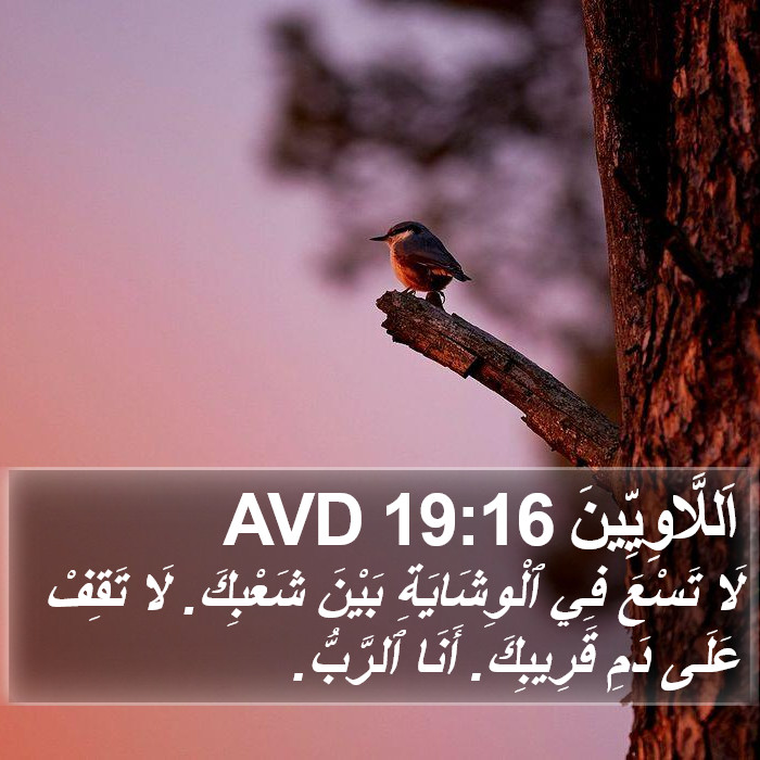 اَللَّاوِيِّينَ 19:16 AVD Bible Study