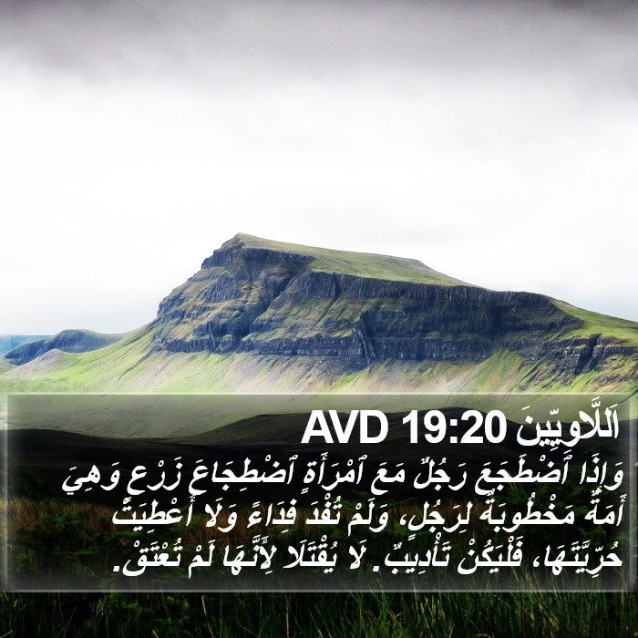 اَللَّاوِيِّينَ 19:20 AVD Bible Study