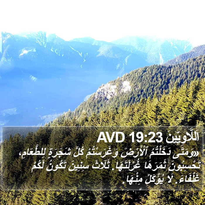 اَللَّاوِيِّينَ 19:23 AVD Bible Study