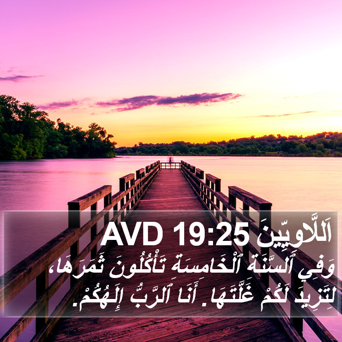 اَللَّاوِيِّينَ 19:25 AVD Bible Study