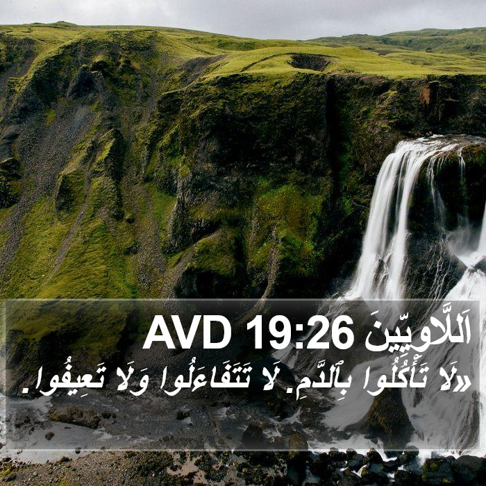 اَللَّاوِيِّينَ 19:26 AVD Bible Study